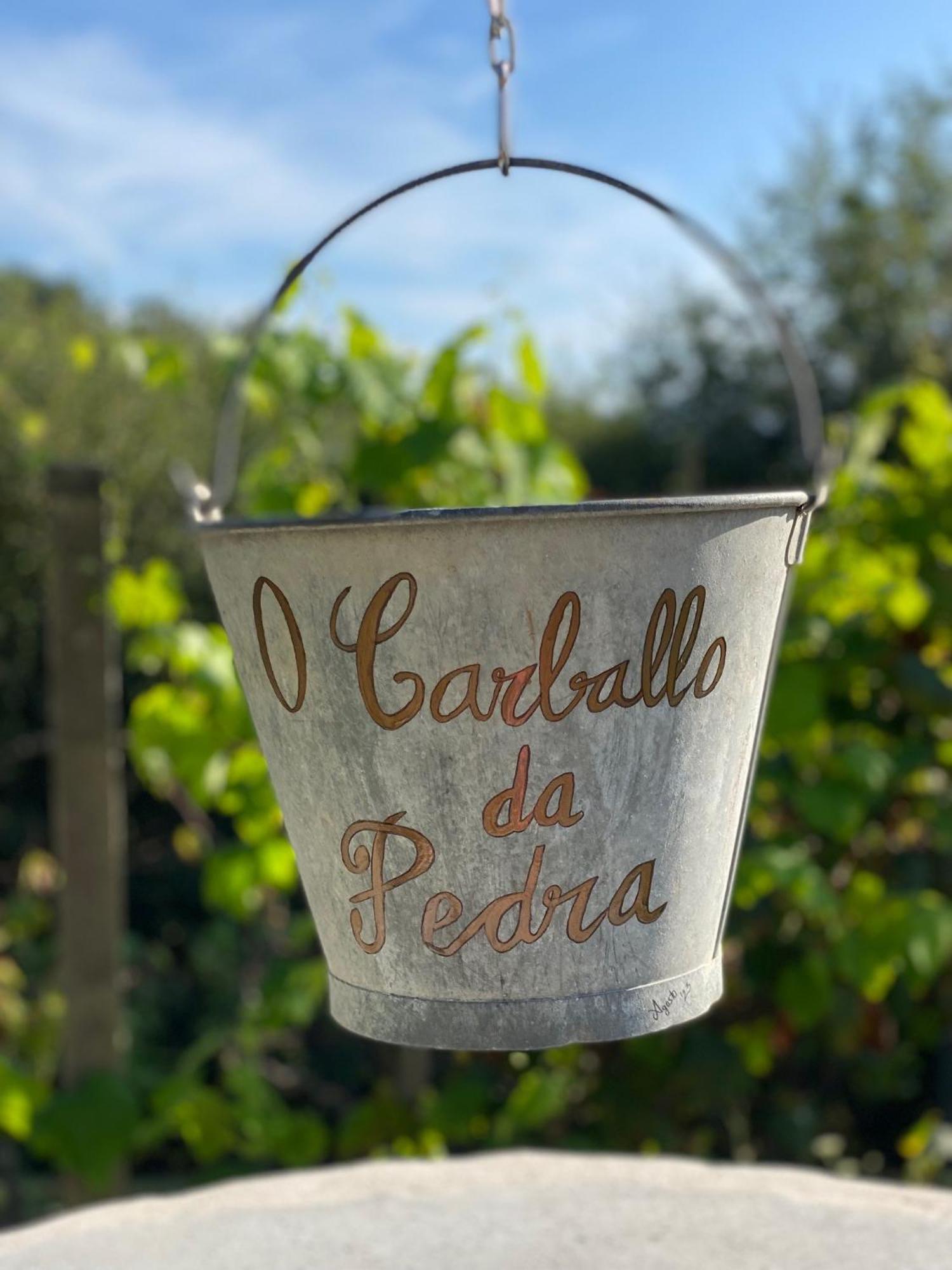 Casa Rural O Carballo Da Pedra La Caniza エクステリア 写真